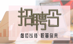 服務(wù)商戶，致力發(fā)展—安徽分公司合肥濱湖店攜手優(yōu)質(zhì)商戶人才招聘會(huì) 